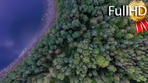 Aerial View on on the Shore of a Beautiful Lake