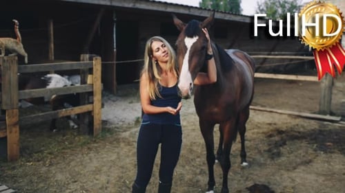 Woman Feeding a Horse an Apple on the Farm