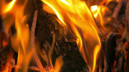 Close Up of Fire Flames on Burning Wood