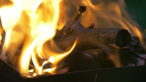 Burning Flames on Wood in Fire