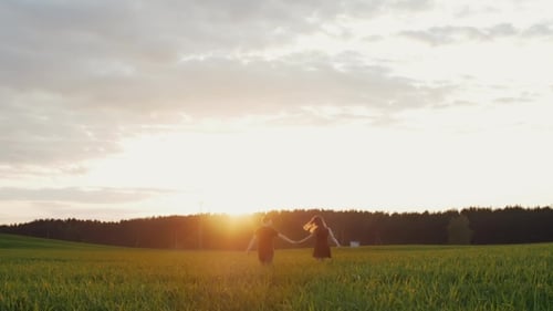 Beautiful Back View of Young Couple Walking in Field at Sunset. They Move Away From Camera, Hold