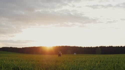 Beautiful Sunset in Nature. Lovers Stand Embracing Each Other and Kiss in a Field. Forest at the
