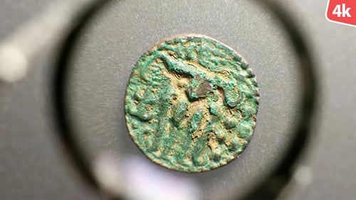 Old Coins 729