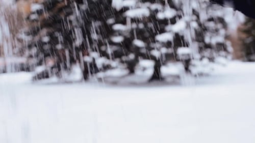 Hand gießt Schnee im Winterwald