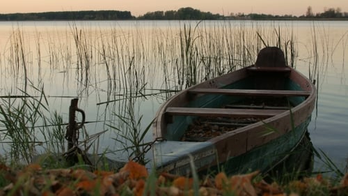Barco cerrado junto al lago