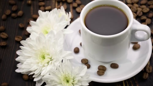 Close Up of Coffee Cup with Daisies