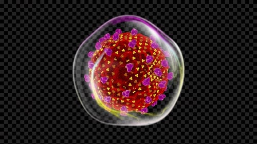 3D Animation of Rotating Virus Particle with Membrane