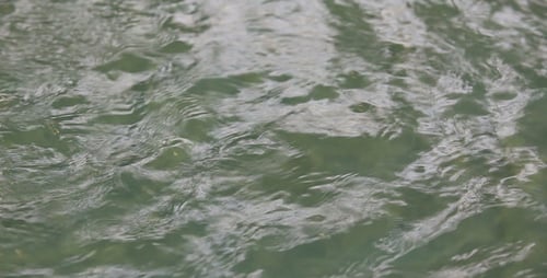 Wasser kräuselt sich