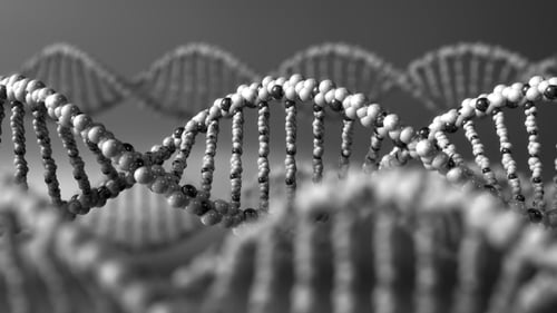 Animated DNA Double Helix Loop for Science and Medical Projects