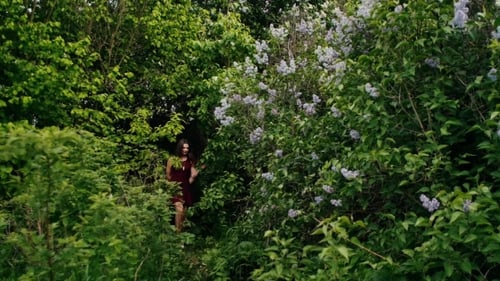 Young Couple Walk in Forest Through the Lilac Bushes. Lovers in Nature. , Steadicam Shot, Backview
