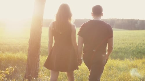 Lovers Walk in Nature at Sunset. Man and Woman Hug and Kiss. Field in the Rays of Sun. Backview