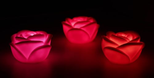 Changing Colors of Flower Shaped Decorative Lights