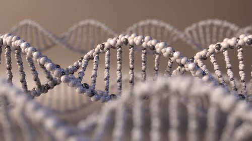 Multiples molécules d'ADN brun tournant