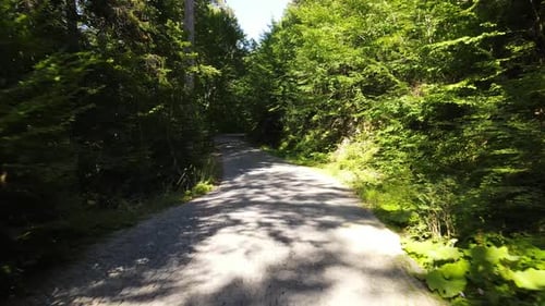 Forest Road