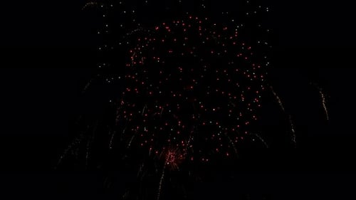 Vibrant Fireworks Exploding in the Night Sky