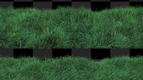 Grass 2 Clip mit Alpha-Schleife
