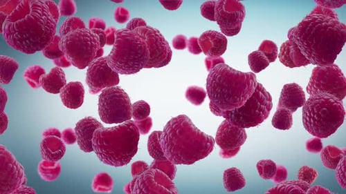 Floating Red Raspberries in Slow Motion Seamless Loop