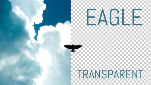 Eagle - Von unten