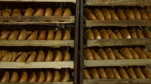 Bread on the Shelves