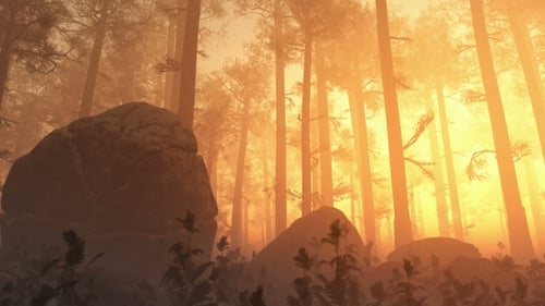 Sunrays Shining Through the Trees