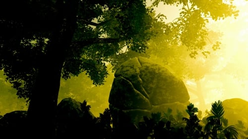 Sunrays Shining Through the Trees