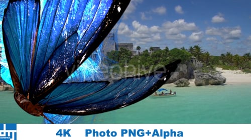 Animated Blue Butterfly Disintegrating into Light Trails