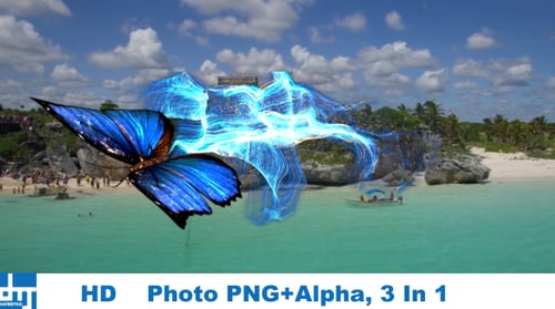 Realistic Butterfly Flying with Abstract Energy Trail