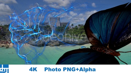 Transición de vuelo en marcha de partículas de mariposa azul V3