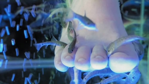 Eine Frau ist in einem Spa und bekommt eine Fisch-Pediküre