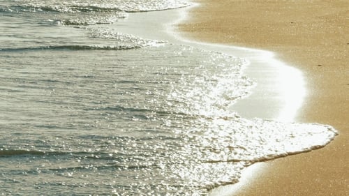 Soft Sea Waves Rushing on Sandy Beach on Sunset