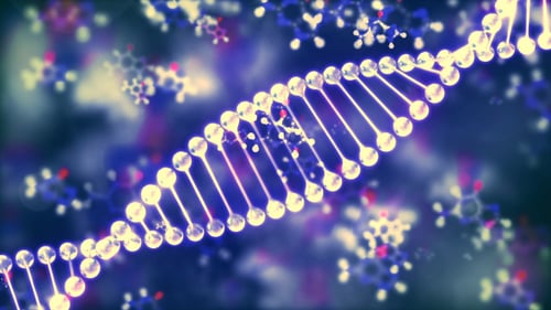 DNA