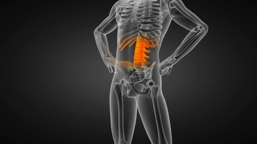 Human Bones Radiographic Scan