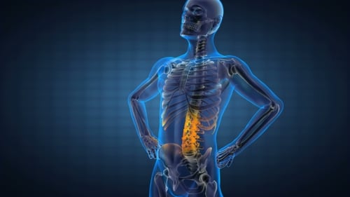 3D Human Skeleton Spine Highlight Medical Animation