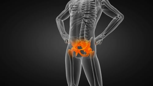 Human Skeleton Pelvic Bone Highlighted in X-Ray View