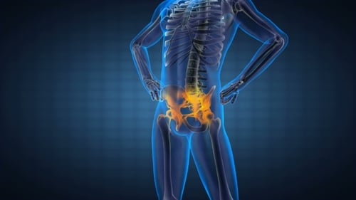 3D Animated Human Pelvis and Spine Medical Scan with Highlight