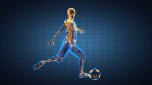 Soccer Game Player