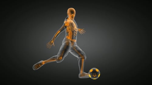 Soccer Game Player