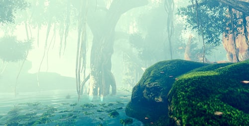 Misty Swamp Forest Journey with Lush Green Nature