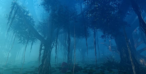 Tropical Jungle 1