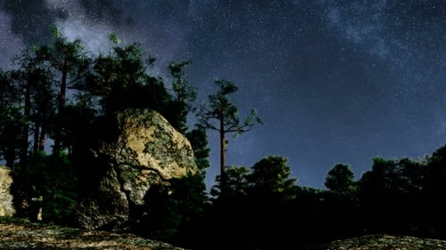 Starry Night Sky Over Forest and Rocks with Milky Way Pan