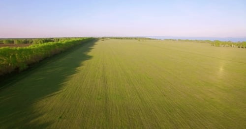 Low Flight Over Green and Yellow Wheat Rural Field