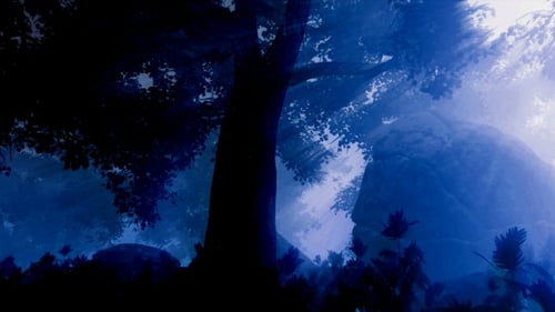 Paysage de forêt sombre la nuit