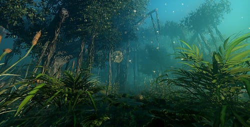 The mysterious Magical Forest