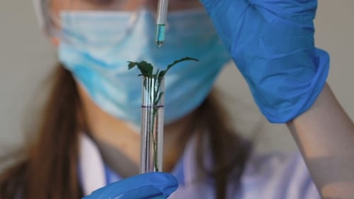 Female Scientist Analyzing Plant in Test Tube
