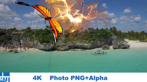 Glowing Butterfly and Abstract Light Particle Animations