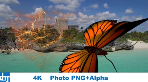 Abstract Butterfly Particle Flow Transition