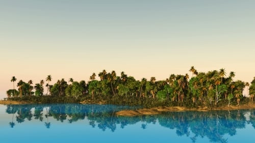 Tropical Island with Palms