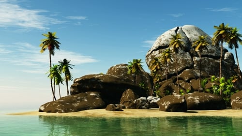 Tropical Island with Palms