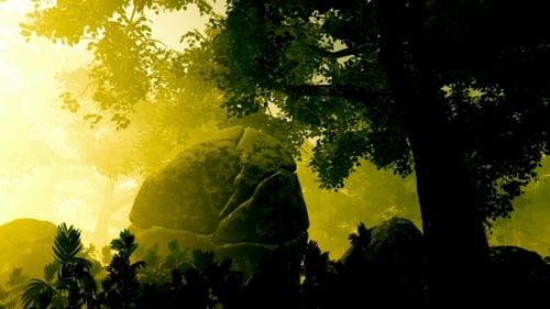 Sunrays Shining Through the Trees