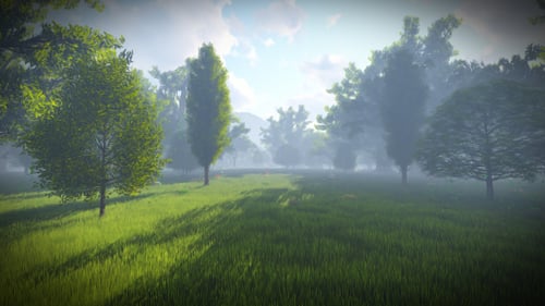 Matte Painting Forest